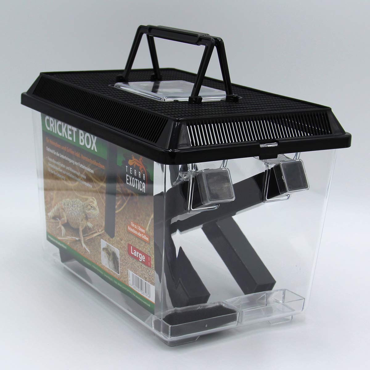 Terra Exotica Cricket Box - in Small oder Large - Transportbox für Reptilien - Fauna Box für Heimchen und Grillen zur Zucht (Large 30 x 19,5 x 20,5 cm)