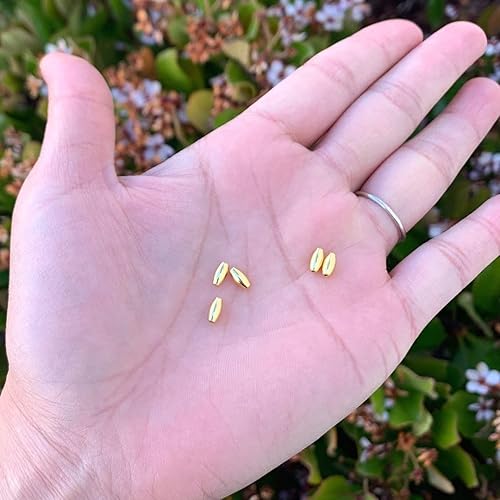 Miniatura 2 de Adabele SS111-5 - 20 cuentas espaciadoras de arroz ovaladas sin costuras de plata esterlina chapada en oro auténtica de 0.217 in para fabricación de