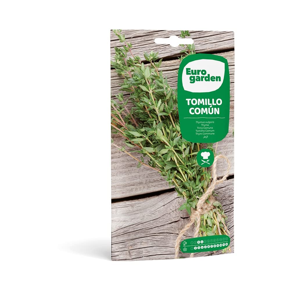 Euro Garden Common Thyme Seeds 75 g