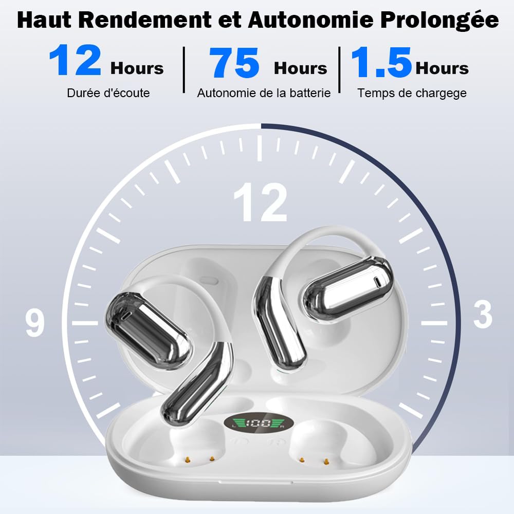 Ecouteur Traducteur Instantané sans Fil IPX5 Étanche Bluetooth Réducteur de Bruit pour Voyage
