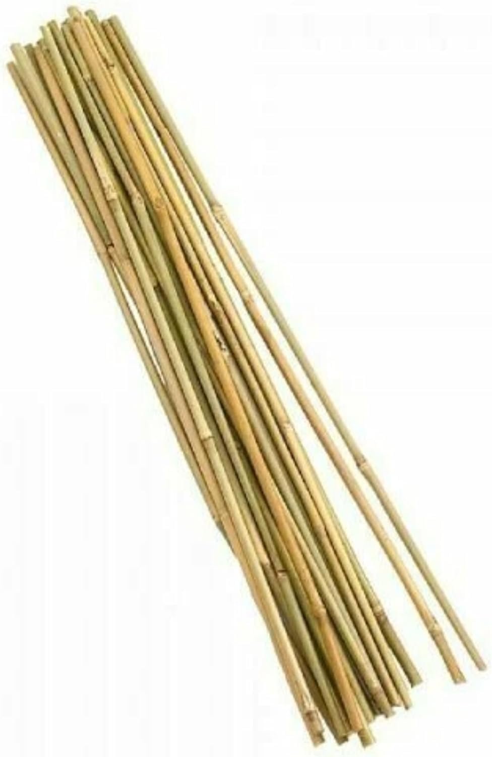 AKADIL Natural Bamboo Plant Stakes – Strong Support Stakes for Tomato & Bean, Climbing Plants Aid, Garden Bamboo Canes, Plant Supports for Outdoor Plants (3ft (Pack of 10))