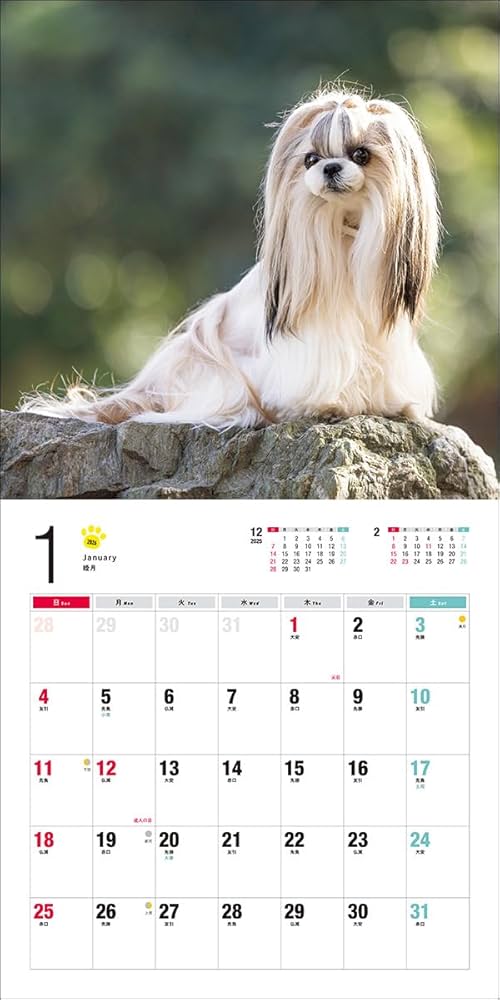 2026年カレンダー シー・ズー | 中村 陽子 |本 | 通販 | Amazon