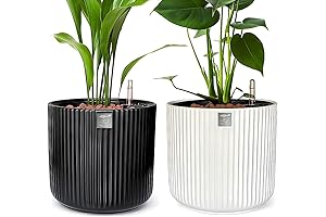 Ceramic Self-Watering Planters: Nurture Plants Effortlessly