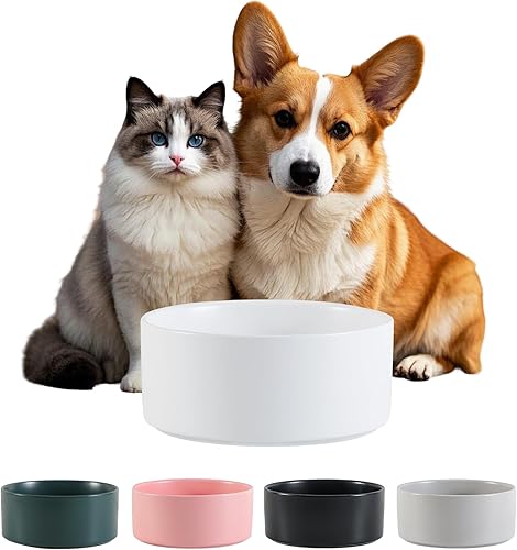 Cuenco de cerámica para perros para comida y agua, cuenco comedero para mascotas para perros pequeños a medianos y gatos grandes, plato de