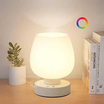 Cordless Touch Bedside Table Lamp, Small Rechargeable Battery RGB Light | Touch control dimmable, 8 RGB colors with memory, 5400mAh battery, glass lampshade, for bedroom living room kitchen counter