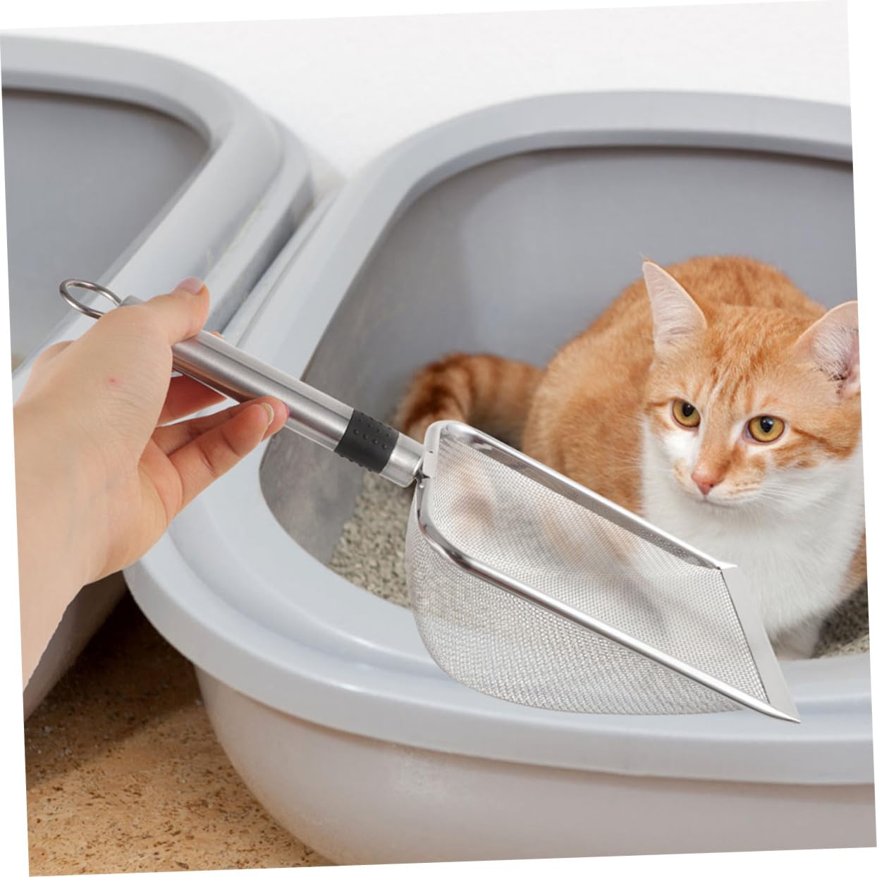 WOONEKY Reptile Litter Scoop De Inoxidable para Reptiles para Tortugas Diseño Filtrado para Limpieza