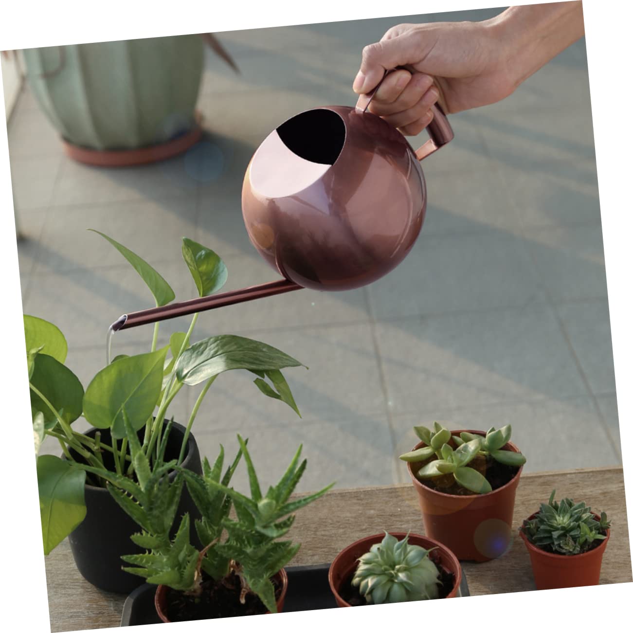 Konewka, Butelka na wodę ze stali nierdzewnej Metalowa konewka Konewka do Bonsai w pomieszczeniach Konewka do Bonsai Konewka do roślin domowych Rośliny Podlewanie zraszacz Czajnik Urządzenie do podlew