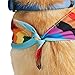 Youly Pride Flag Reversible Bandana for Dogs and Cats, XX-Large/3X-Large, Rainbow