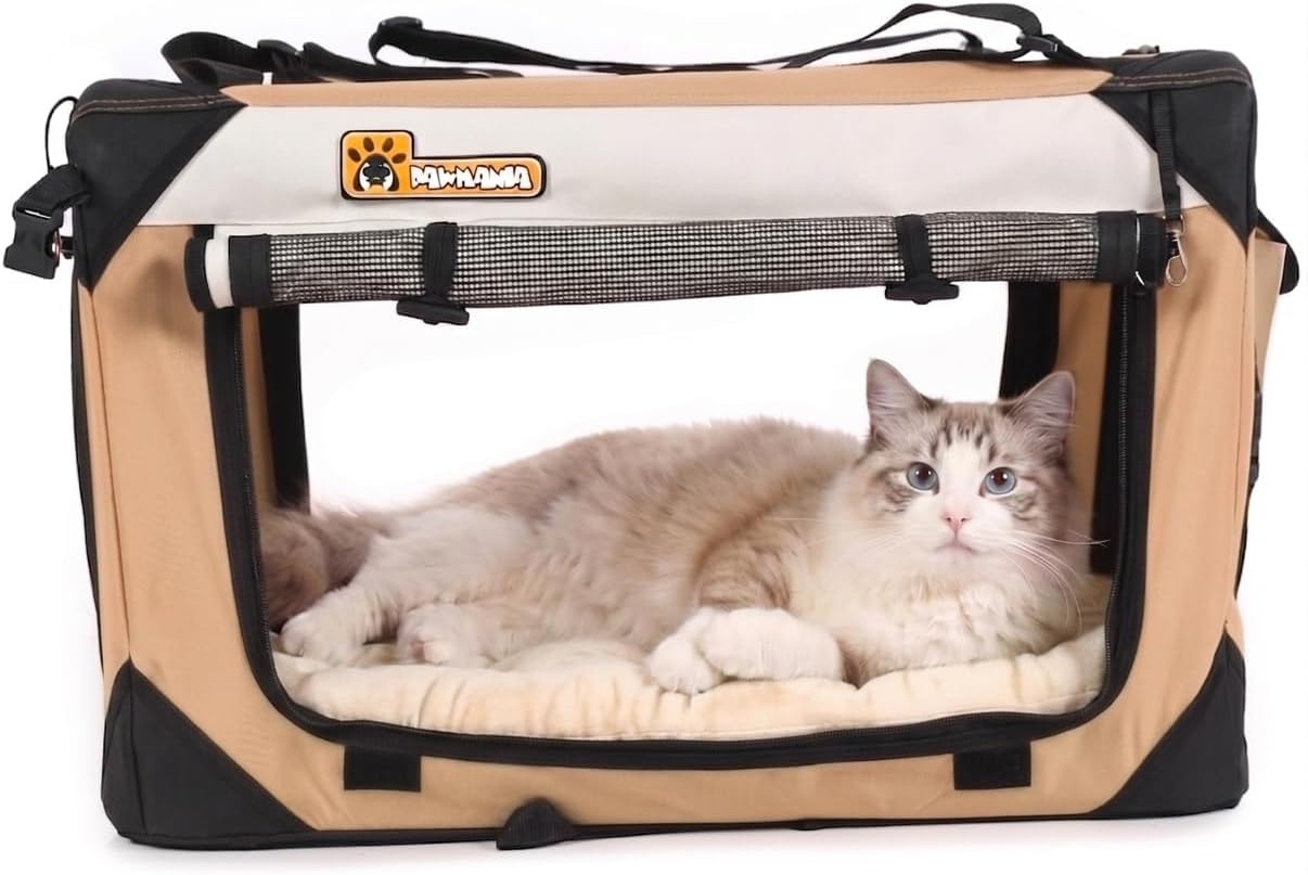 Large Cat & Small Dog Carrier, Soft-Sided 20"x13"x13", Supports 45 lbs, Privacy Windows, Plush Bed, Locking Zippers, Foldable Travel Crate for Home & Vet Visits
