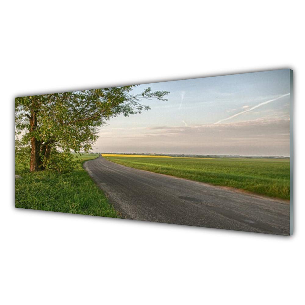 Tableau en verre acrylique 125x50cm route et arbre paysage decoration murale tulup