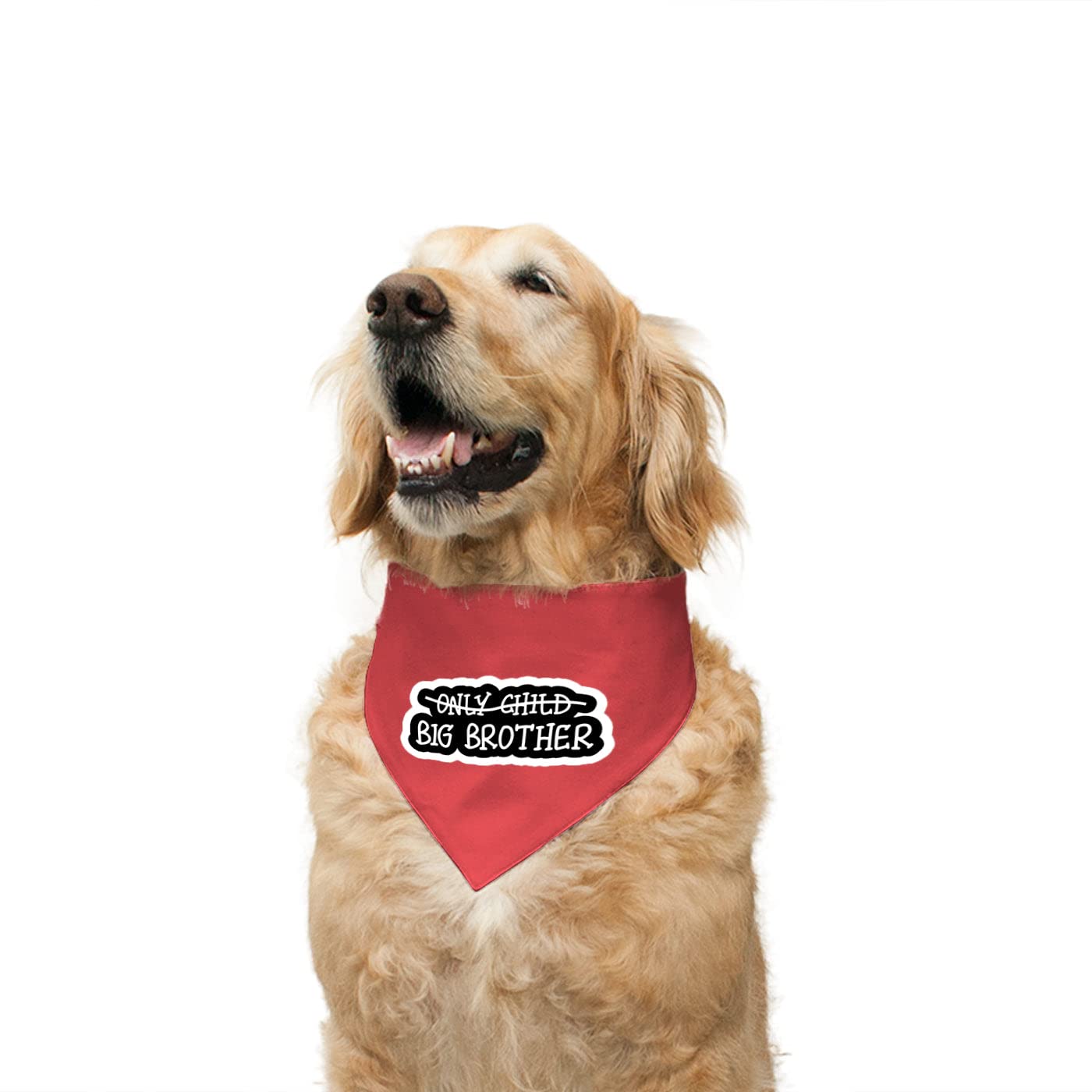 See full amazon price history chart for Ruse Reversible Dog Bandana Big Brother Printed 100% Cotton Poppy Red and Vanilla Strawberry Striped Dog Scarf/Dog Gift Adjustable Snap Button for Dogs/Large Ruse Reversible Dog Bandana Big Brother Printed 100% Cotton Poppy Red and Vanilla Strawberry Striped Dog Scarf/Dog Gift Adjustable Snap Button for Dogs/Large (B09RQWV9QW) Amazon Price History, Amazon Price Tracker