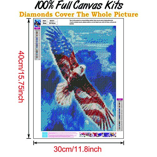 Filaslft Eagle Diamond Painting Kits For Adults,American Flag Diamond Art Full Drill,Diy Patriotic Diamond Painting Eagle Flag,Perfect For Home Decoration Festival Gift 12X16 Inch. #TOP1