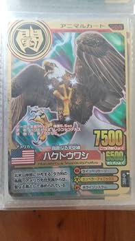 Amazon.co.jp: アニマルカイザー 金 ハクトウワシ QWBPEUCQ