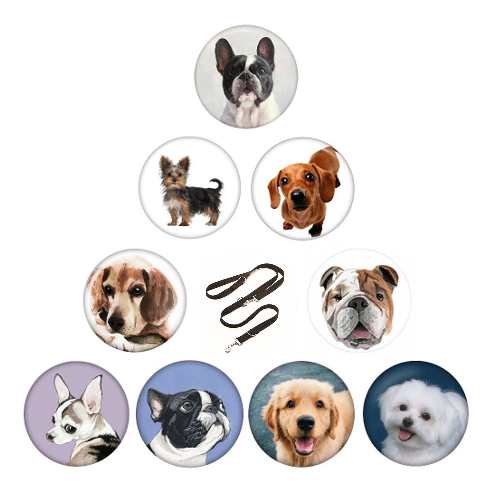 Guinzaglio Regolabile Per Cani 2,5x260 Cm – Nylon Resistente Con Due Moschettoni, Ideale Per Cani Grandi E Forti