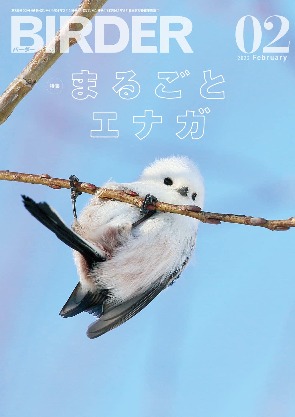 Birder バーダー 22年2月号 まるごとエナガ Birder編集部 本 通販 Amazon