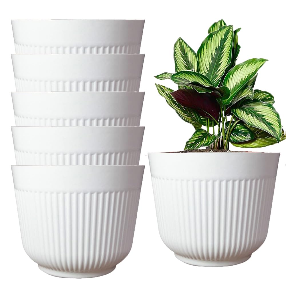 IMAGINEA 12 Inch Big Size Planters Colorful Plastic Flower Pot Durable Large Gamla Decorative Indoor Outdoor Gardening Pots for Home Terrace Lawn Balcony Nursery (White, Pack of 6) (B0CD1WWHLM) Amazon Price History, Amazon Price Tracker