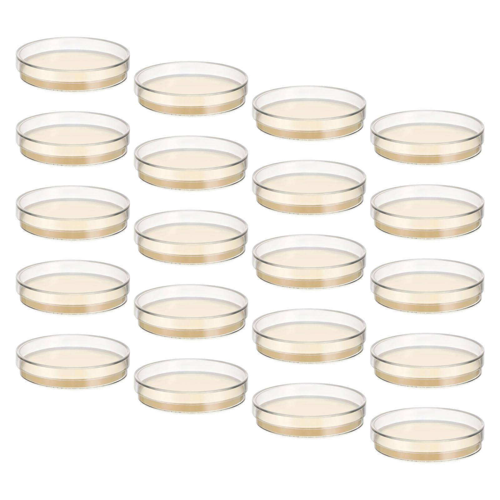 Outanaya 30 Pezzi Piastra Esperimenti Scientifici in Aula Agar Materiale Agar per 7cm Preconfezionata Coltura Microbiologica Micologia