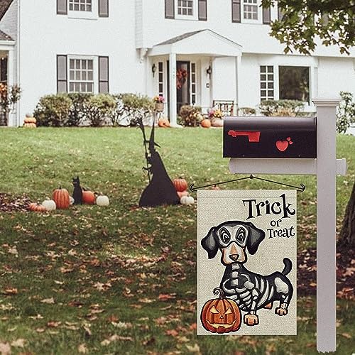 Decoración Exterior, Imagen adicional