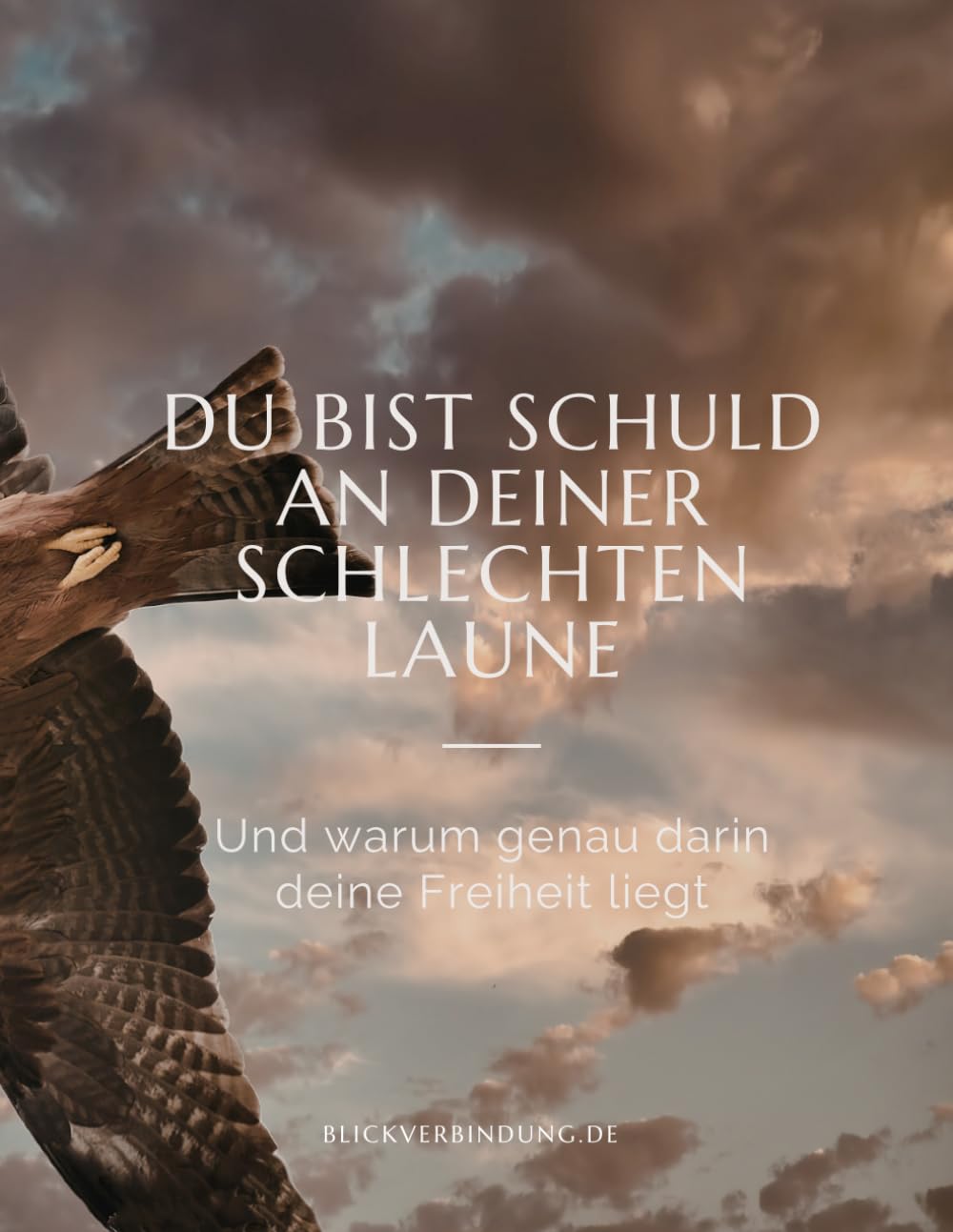 Du bist schuld an deiner schlechten Laune: Und warum genau darin deine Freiheit liegt