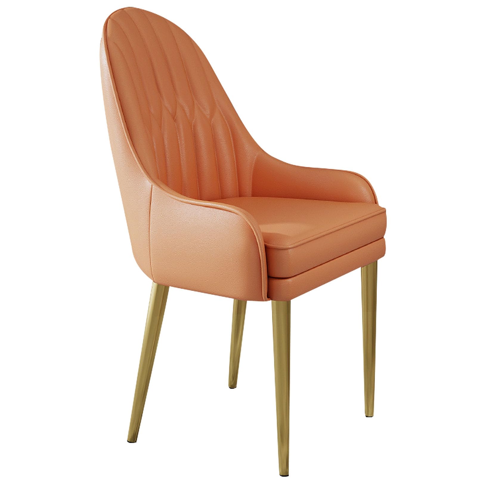 Chaise d'appoint moderne chaises de cuisine salon pieds métal