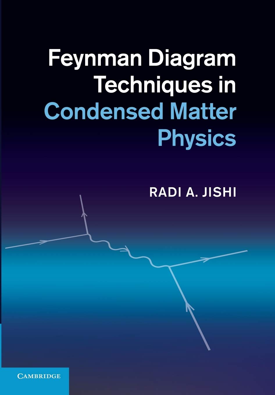 Feynman Diagram Techniques in Condensed Matter Physics by Rad... - 9781107655331