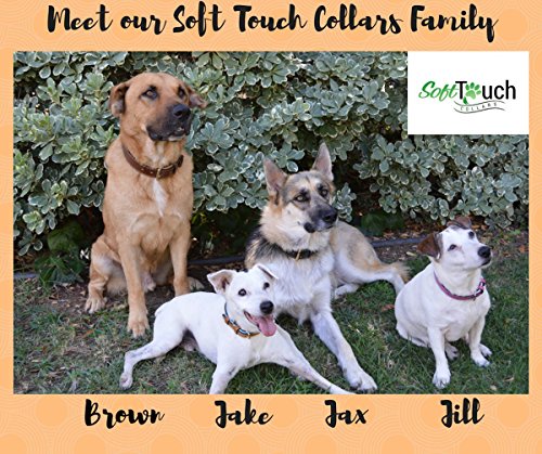 Soft Touch Collars Padded Leather Dog Collar, Large Brown, Real Genuine Leather , 24" Long X 1.5 Wide , Fits Neck Size 18" To 21" Inches #TOP6