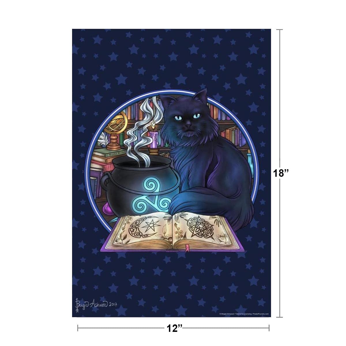 Amazon.com: Black Cat Magic by Brigid Ashwood Fantasy Cat Poster