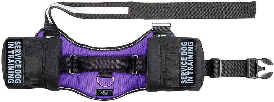 Service Dog in Training Harness with Removable Saddle Bag Dogs Backpack Harness Pack Carrier. 2 Removable Patches. Please Measure Dog Before Ordering. Made by Doggie Stylz