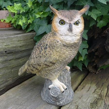 Amazon フクロウの置物 みみずく ミミズク ３７６６ ００ 鳥 とり 動物 オーナメント オブジェ ガーデン ガーデニング 置物 縁起物 雑貨 ナチュラル リ 置物 オブジェ オンライン通販