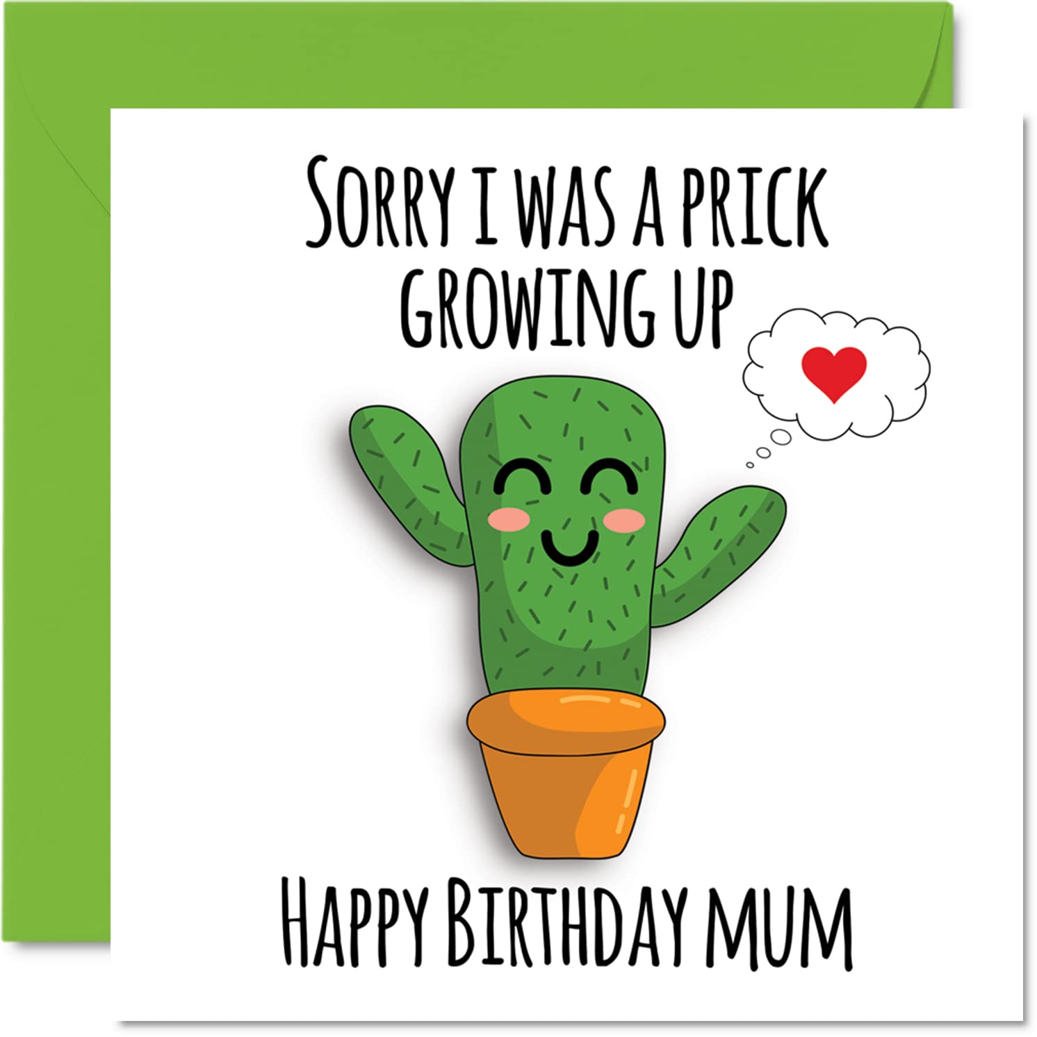 Funny Happy Birthday Card For Dad Your Farts Stink Theme