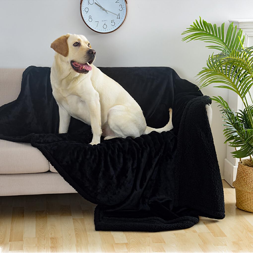 Manta suave y cómoda para mascotas, para perros y gatos, varios tamaños disponibles, manta impermeable para perros, manta para Gato, Café XL