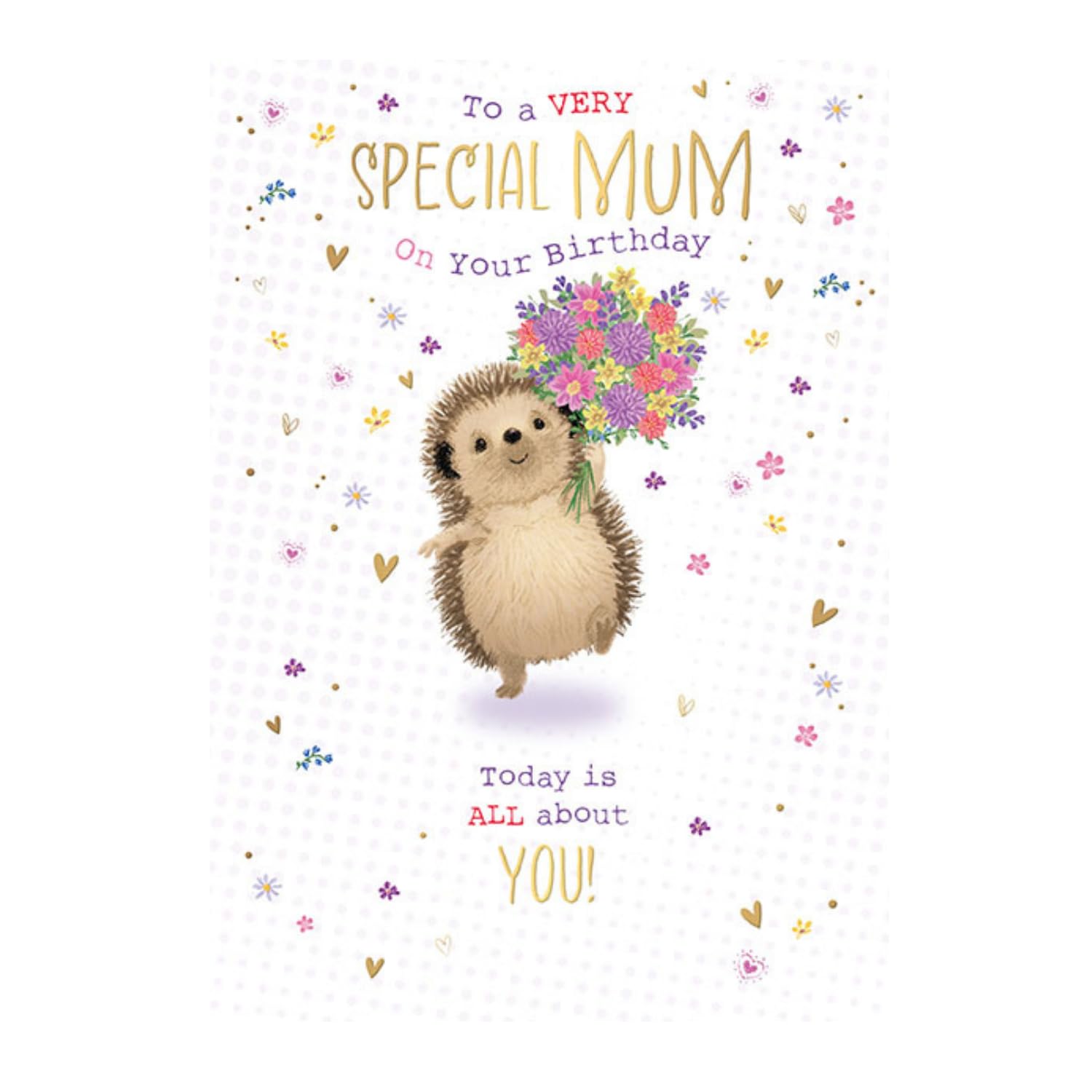 Words 'n' Wishes Special Mum Birthday Card - Happy Birthday Card with a Hedgehog and Flowers Design and Foil Details - Birthday Card for Women