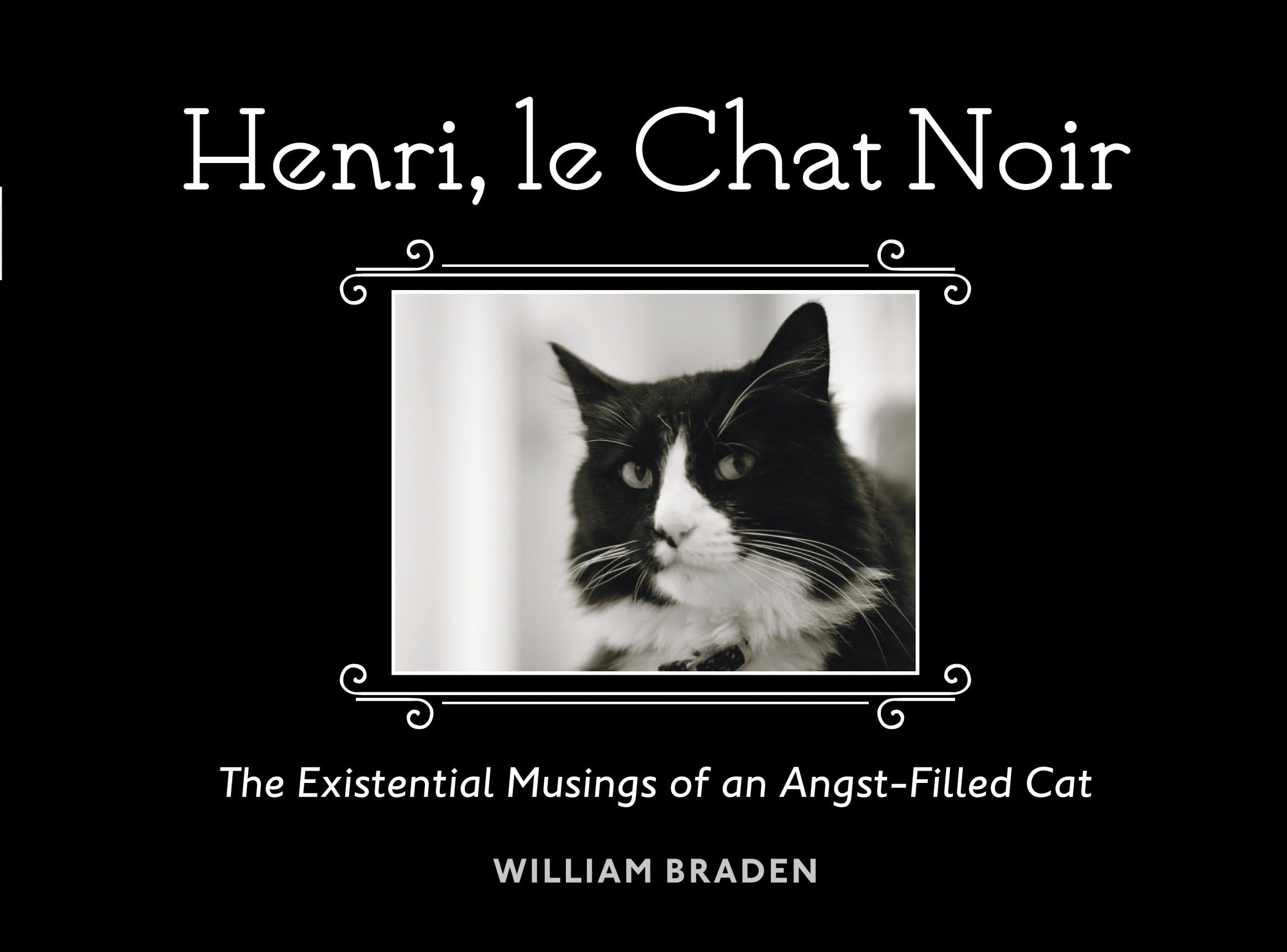 Henri, le Chat Noir: The Existential Musings of an Angst-Filled Cat
