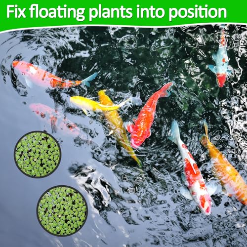 Image of 5 PCS Aquarium Feeding Ring Floating Feeder Ring Floating Plant Corral Aquarium Floatings Plant Rings Fish Feeder Rings for Fish Tank 5 Sizes Round Plants Corral for Keeping Plants in Place (Black)