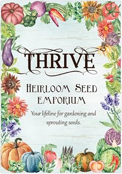 5 Variety Pack Basil Seeds