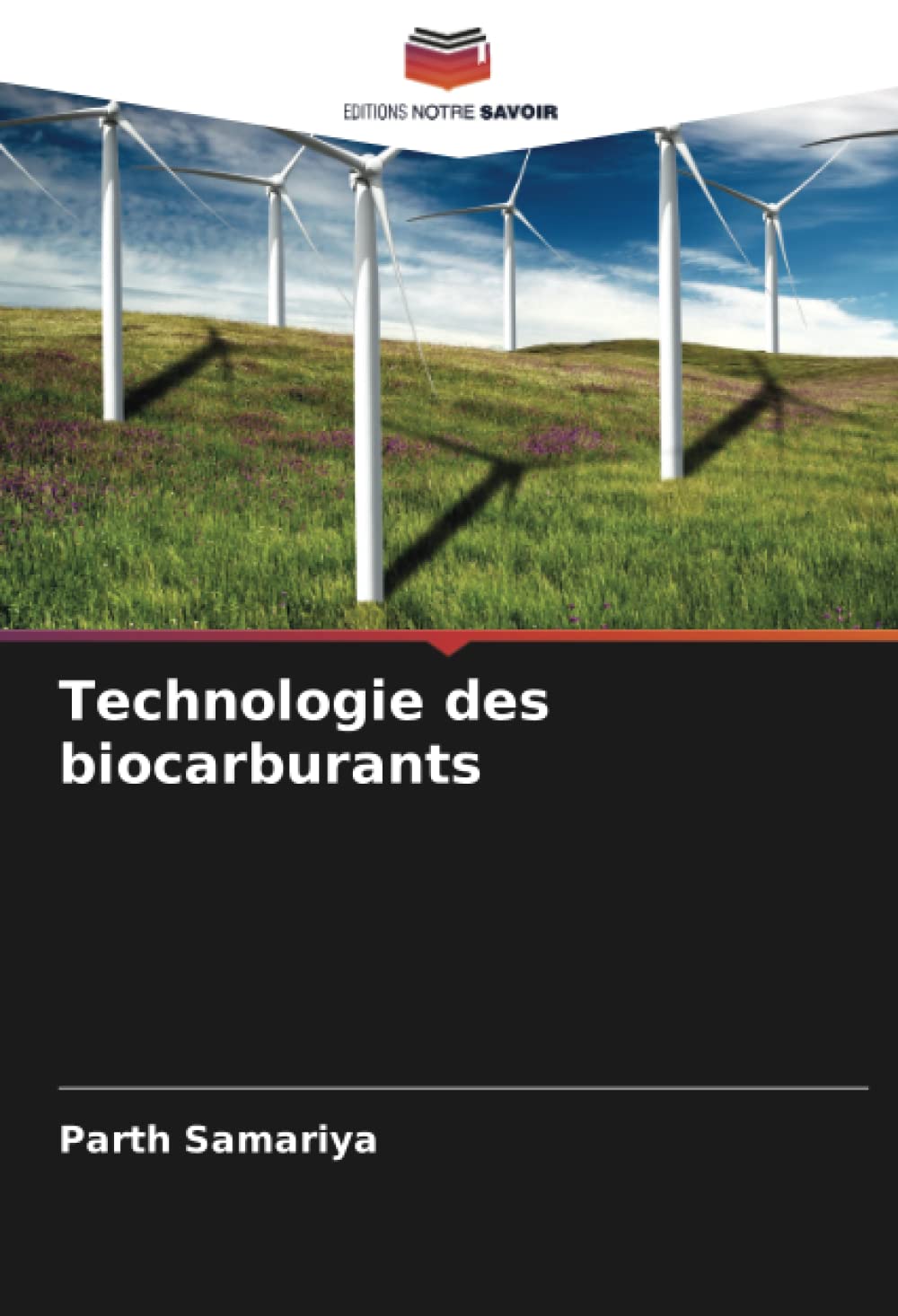 Technologie des biocarburants (French Edition)