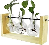 Vista 8 de Terrario para plantas con soporte de madera, jarrón de propagación de mesa, macetas hidropónicas de vidrio, maceta de aire, florero de vidrio