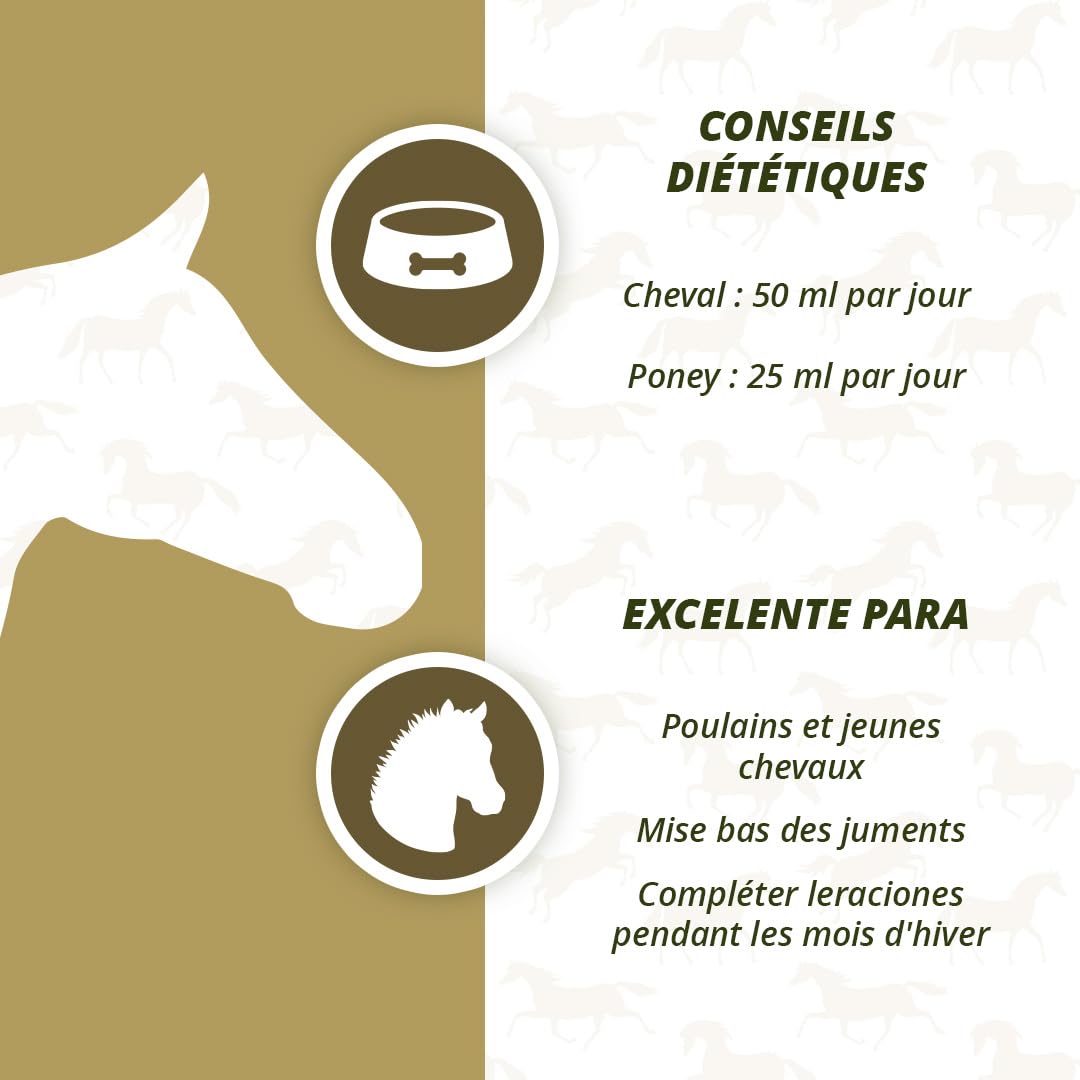 Excellent Liver Oil 1 Liter pour Chevaux Soutenir la Résistance Croissance Développement Entretien du Pelage