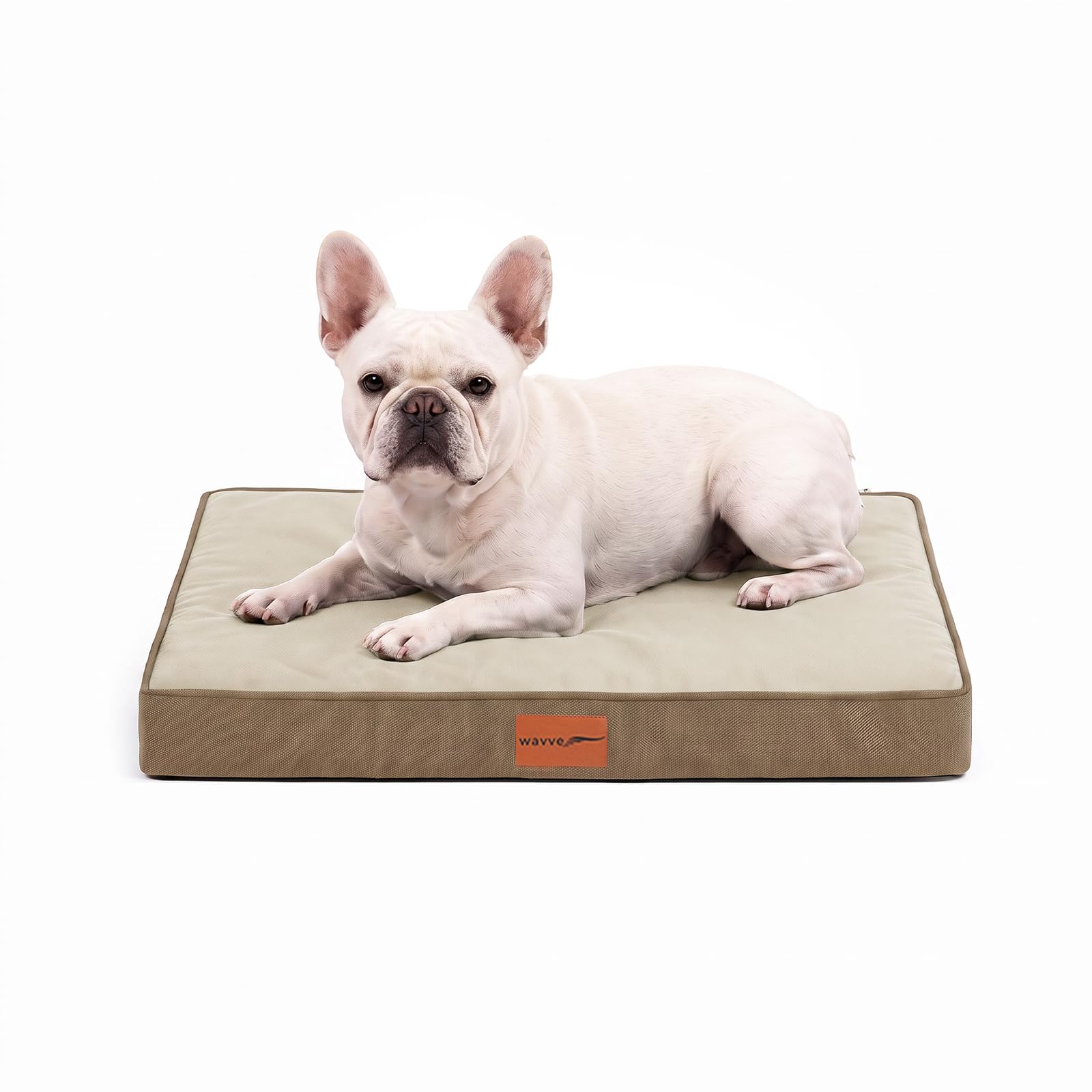WAVVE Cuccia Cane Interno Taglia piccola 76x51x7.6 cm Marrone | Materassino ortopedico in schiuma a nido d’uovo, sfoderabile e lavabile, fodera interna impermeabile, fondo antiscivolo