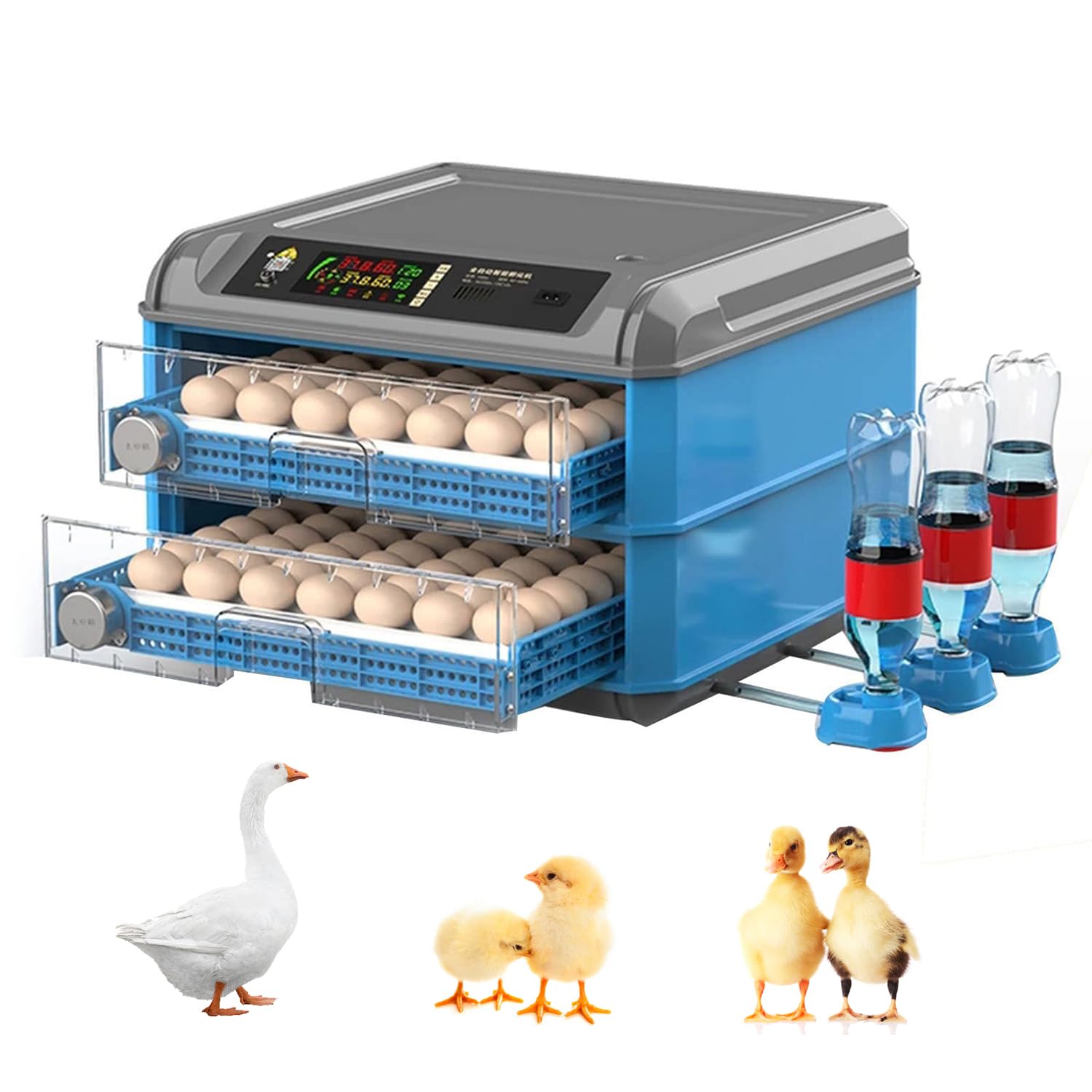 Incubateur d'œufs de poule pour observer les naissances en famille à la maison