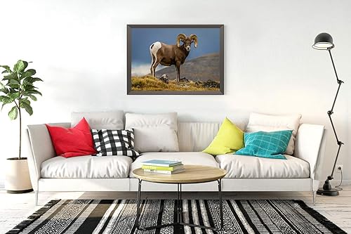 Kit de pintura de diamante 5D para bricolaje, cuerno de oveja, atravesando dividir el parque de las montañas rocosas, fresco y crujiente por la