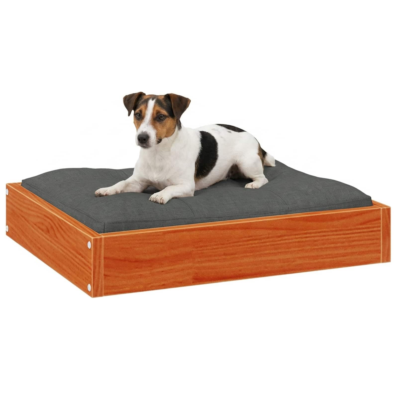 Cuccia per cani in legno massello di pino marrone cerato, 51,5 x 44 x 9 cm, per interni, comodo posto per dormire per animali domestici, con design robusto e accogliente nido per cuccioli