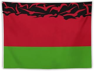 Ruhho Belarus Flag Flying Birds Tapestry Wall Hanging Tapestries Wall National Flag Aesthetic Tapestry for Bedroom Living Room Dorm College Wall Decor Backdrop, 60"x80"