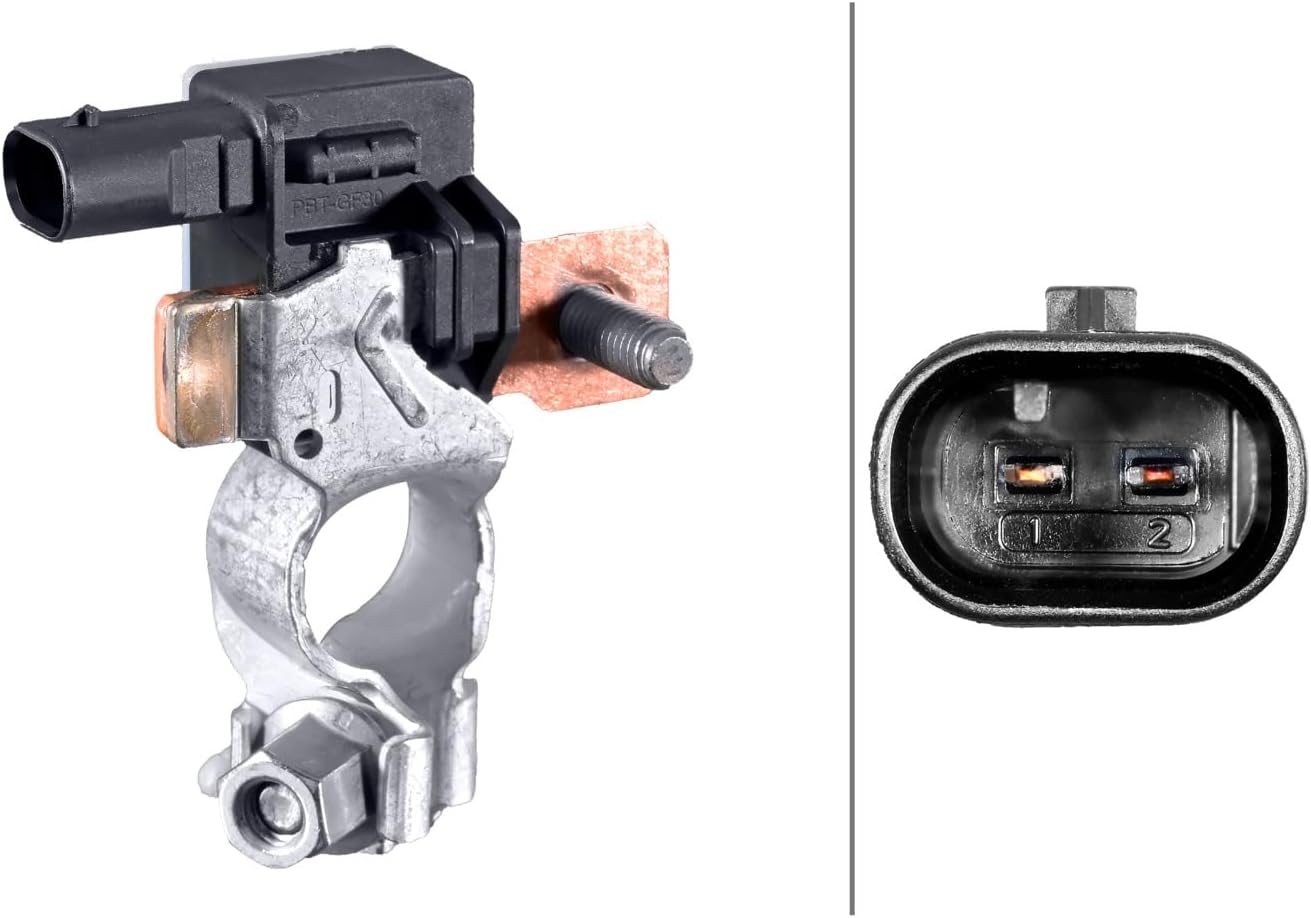 HELLA Intelligent Battery Sensor (IBS) for Select 2020-2022 Cadillac/Chevrolet/GMC Models, 012767371