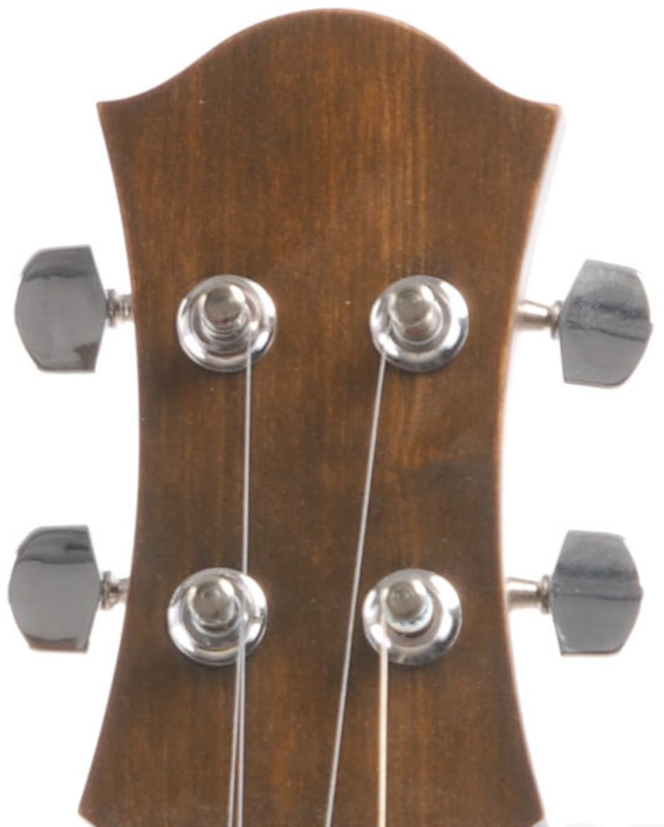 APPALACHIAN DULCIMER PICCOLO TOP ABETE FONDO LIME FASCE E MANICO ACERO SCALA 615MM CON BORSA