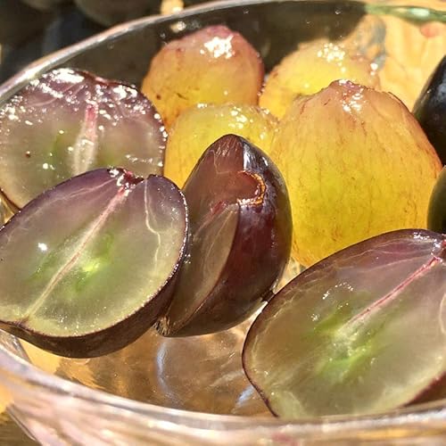 ピオーネ 種無し葡萄 約2kg 4?6房 贈答規格 岡山県産 ギフト最適な大房ぶどう!上品な香りと味と甘さ