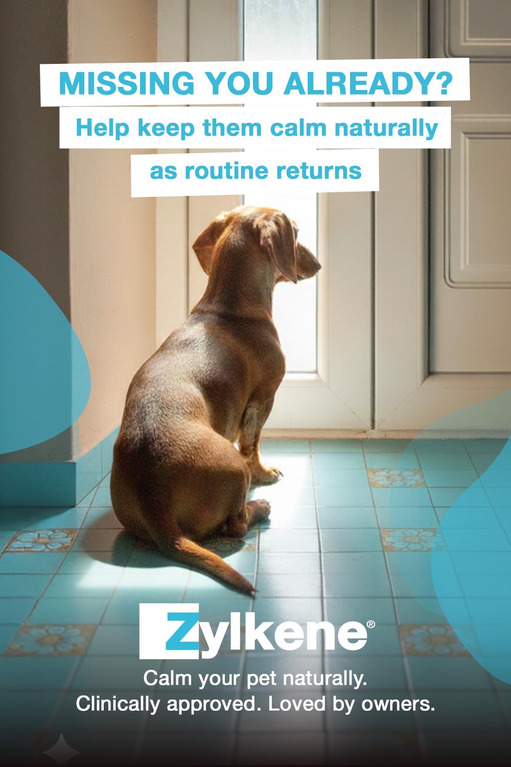 Zylkene Calming Supplements for Medium Dogs (10 to 30kg) 225mg | Promotes Relaxation | Helps Pets cope with short-term challenging situations: Loud Noises | Easily administered | 20 capsules