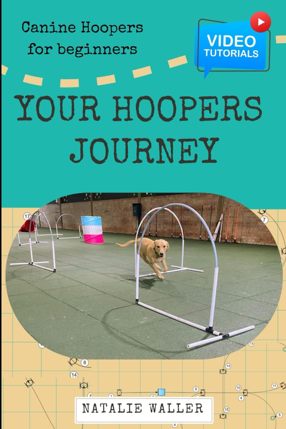 Your Hoopers Journey: From Backyard to Brilliance – Your Hoopers Journey Starts Here!