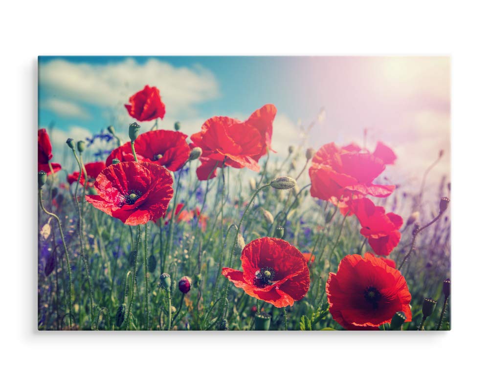 Muralo Wandbild Blumen, Mohnblumen, Sonne, Natur, Landschaft - 120x80 cm | Leinwandbild, Modernes Design, hochauflösender Druck - ideal für Schlafzimmer und Wohnzimmer, Frühlingsflair das ganze Jahr
