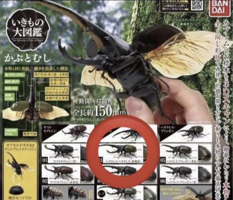 ガシャポン　いきもの大図鑑　かぶとむし 01 全7種　フルコンプ Amazon.co.jp: いきもの大図鑑 かぶとむし01 ヘラクレスヘラクレス 黄